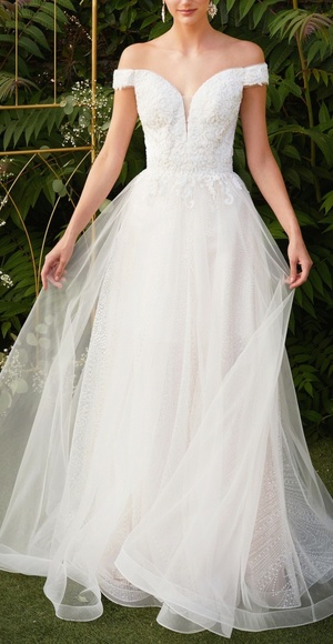0170 Dresses & Skirts - New long  off the shoulder lace tulle lace up back wedding dress,bridal gown